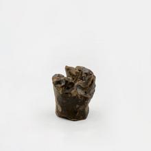 Micro géranium, 1973