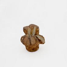 Fleur de géranium 1, 1965