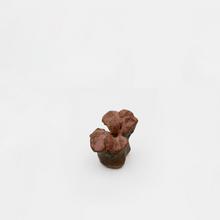 Très petite fleur de géranium, 1974