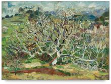 Figuier et amandier en fleurs — 1960