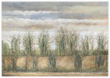 Arbre nuage - circa 2012