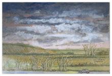 Gros nuage sur pré - 2004
