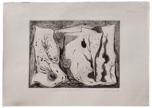 SYMBIOSE ROCHE ET FLORE — 1965