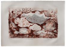 VIES ENTREMELLÉES — 1965
