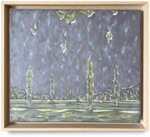 Peupliers et ciel sombre, 1977