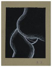 Venus, 2001