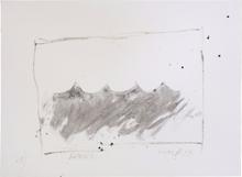 1) WAVE — 2013