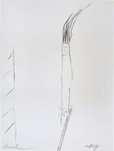 BRUSH — 2014