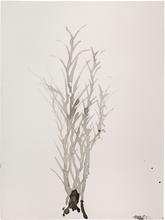 SANS TITRE — 2013