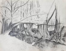 Bord de rivière - 1974