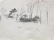 Paysage du Cher - 1974