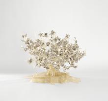 Arbre de vie