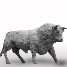 Taureau de la Mayenne, 1998