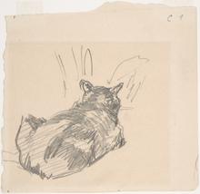 Un chat se reposant, vu de derrière