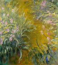 Le Passage à travers les iris