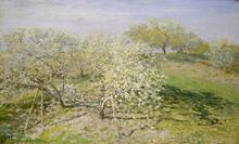 Printemps, arbres fruitiers en fleurs