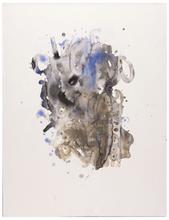 bleu gris brun — 1998