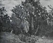Paysage aux Grands Arbres