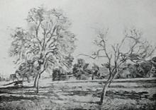 Damiette été de la Saint-Martin