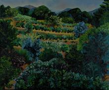 Les vignes de Saint Tropez