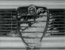 Alfa Roméo - 1965