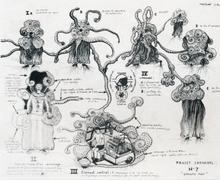 Projet de Carnaval : N°7, Groupe mou - 1964