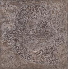 Décomposition à l'oiseau - 1961