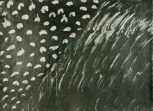 Diagonal, points et traces - 1977