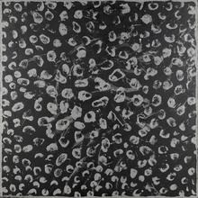 Percuté - 1978