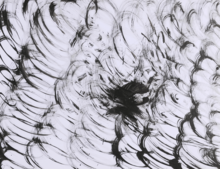 Sans titre, encre - circa 1979-1980