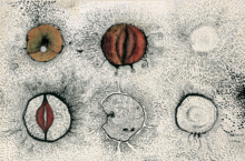 Sans titre, lèvres - 1962