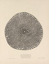 La connaissance du braille