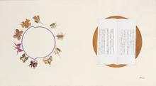 Projet d'assiette