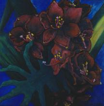 Nature morte aux amaryllis