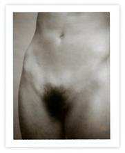 Polaroid 04–09-2008-f