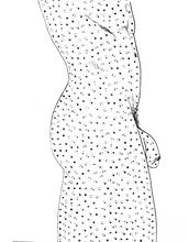 Profil de A - 2010