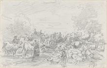 Traversée de troupeaux