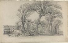 Paysage aux arbres devant la ferme