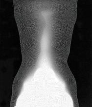 Satori n°2 - 2003