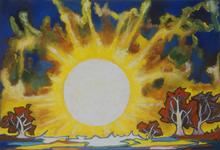 Soleil sur la forêt