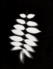 Vibrations 12 - 2003