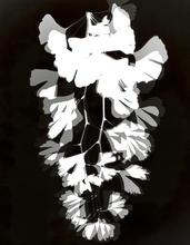 Vibrations 33 - 2008