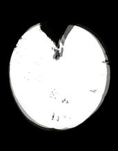 Vibrations 34 - 2014