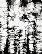 Vibrations 38 - 2007