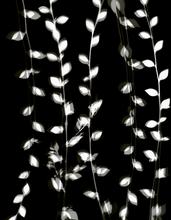 Vibrations 38 - 2007