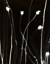 Vibrations 3 - 2004