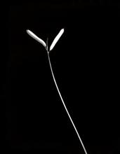 Vibrations 6 - 2005