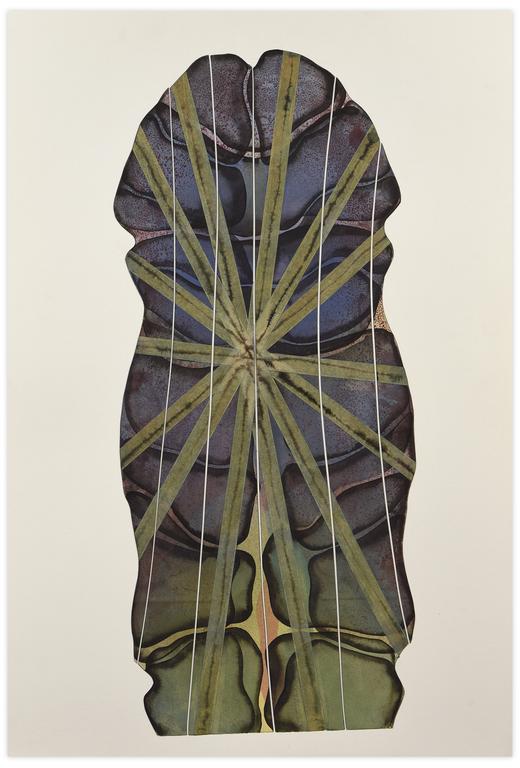 Catalogue raisonné, Henri Maccheroni, Phallucinations - 1972-1991
