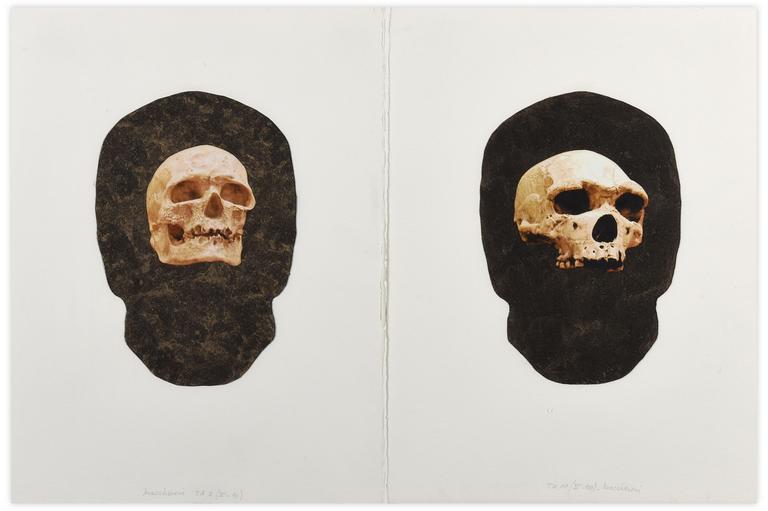 Catalogue raisonné, Henri Maccheroni, Diptyque, Homme de Cro-Magnon, Homo Erectus, « Terra Amata », 2010