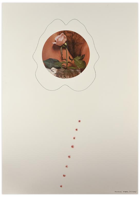 Catalogue raisonné, Henri Maccheroni, Hommage à Gina Pane, Série Les Actions pro-verbales - 1974